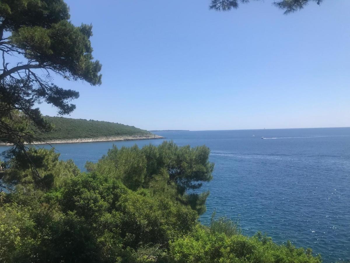 Villa Holiday Banjole Bagian luar foto